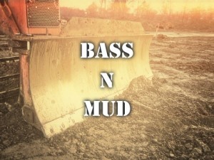 Controlling bass and mud