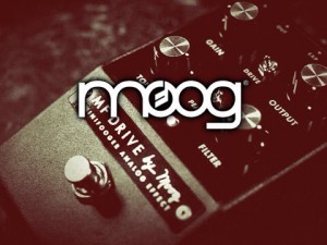 Moog Minifooger Analog Family