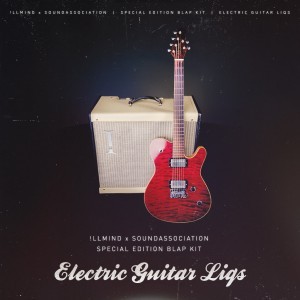 Blap Kit: Electric Guitar Liqs