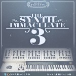 The Synth Immaculate 3